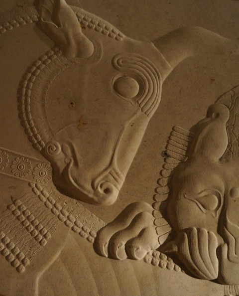 persepolis carving