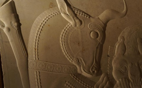 persepolis carving