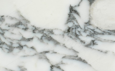 arabescato marble close-up
