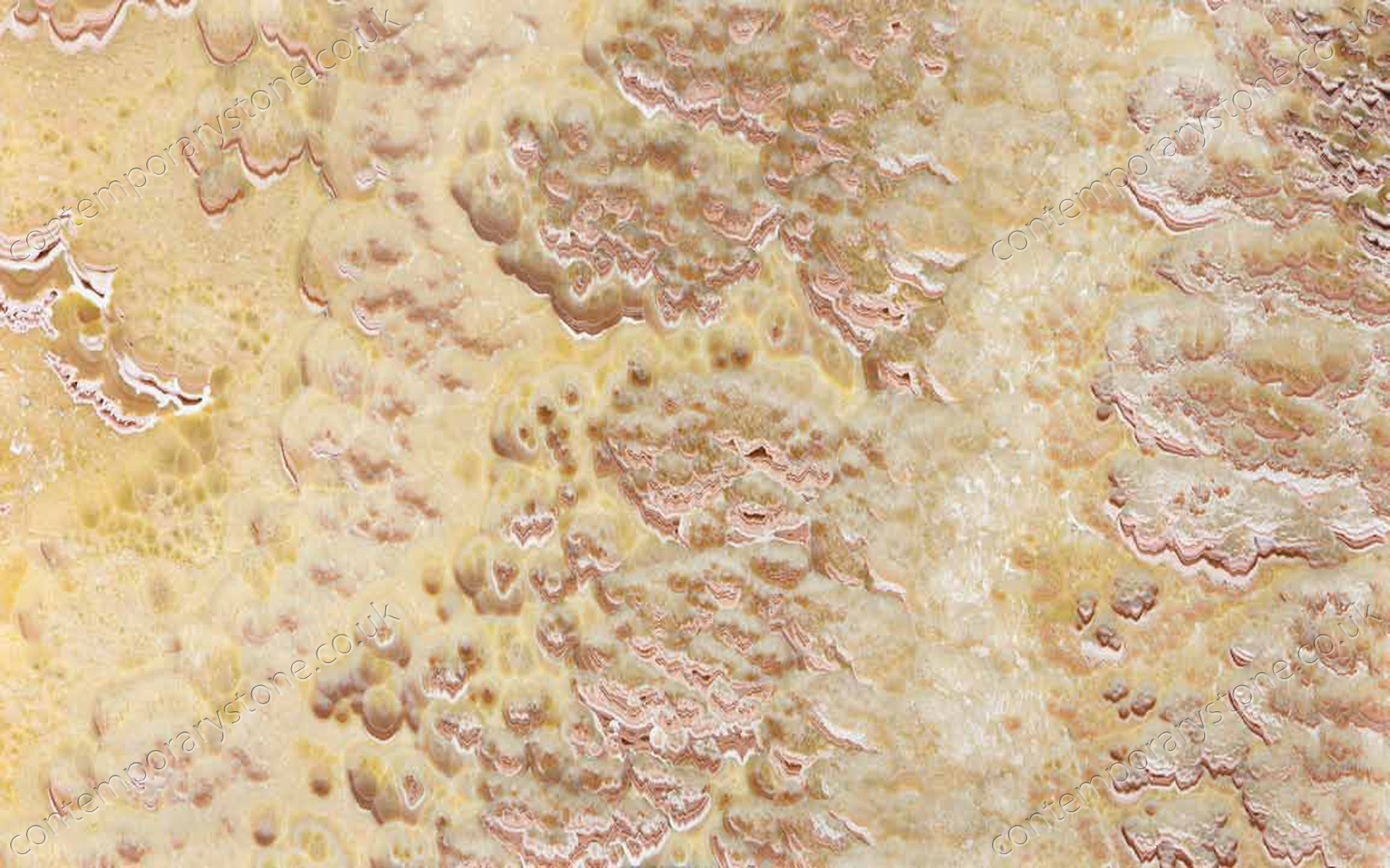 Onice Pesca onyx close-up