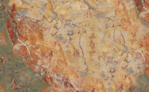 Sarrancolin marble close-up